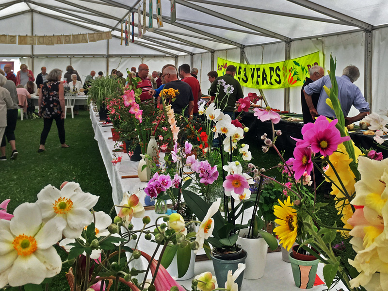 Bream Summer Show – August 2018