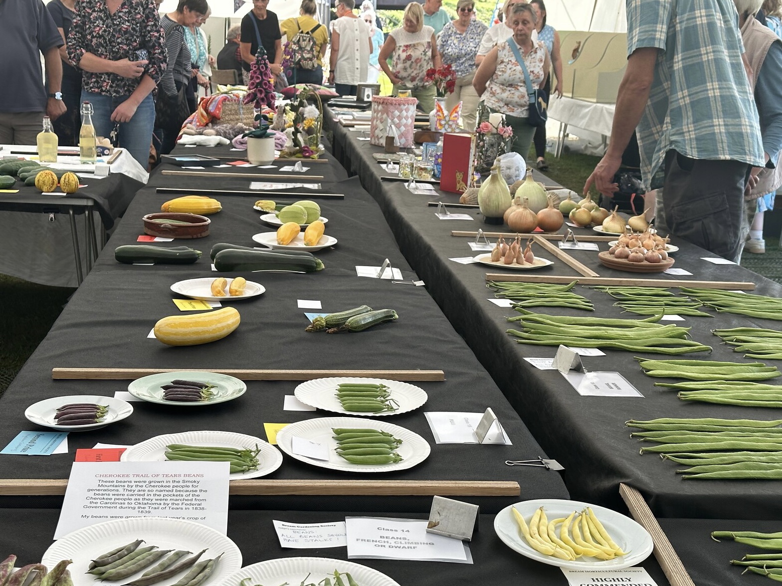 Bream Summer Show – August 19th 2023.