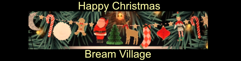 Bream Village Christmas Lights