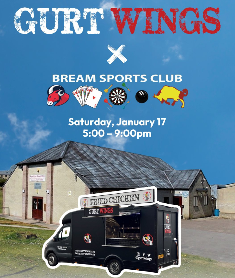 An image for Gurt Wings Poster